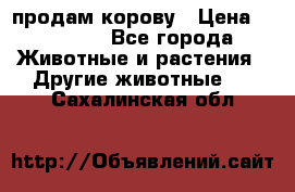 продам корову › Цена ­ 70 000 - Все города Животные и растения » Другие животные   . Сахалинская обл.